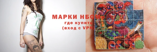 хмурый Аркадак