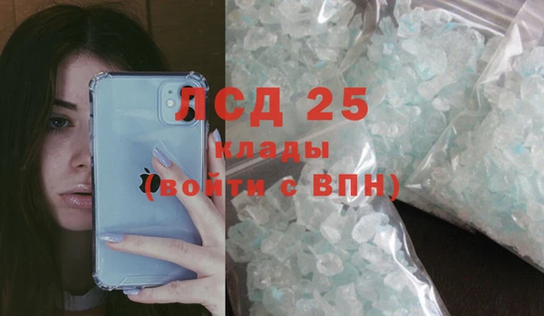 хмурый Аркадак