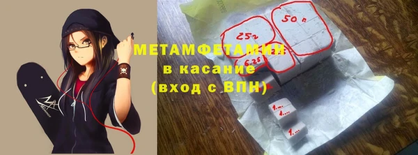 хмурый Аркадак