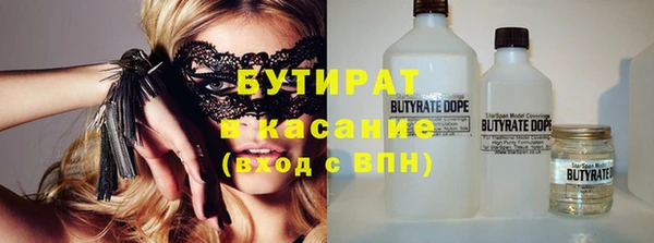 хмурый Аркадак