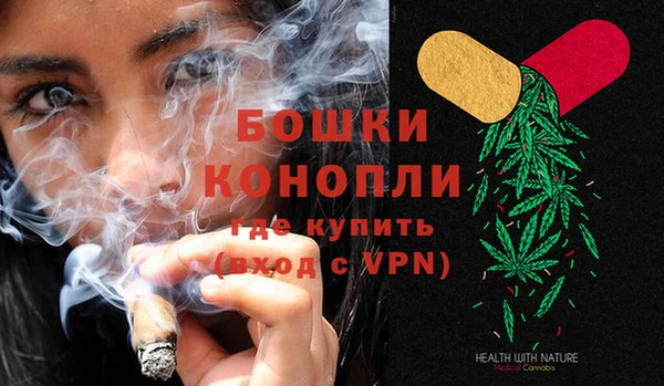 ГАЛЛЮЦИНОГЕННЫЕ ГРИБЫ Арсеньев