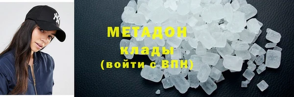 хмурый Аркадак