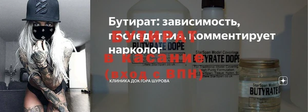 хмурый Аркадак