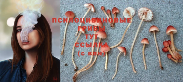 прущие грибы Усмань