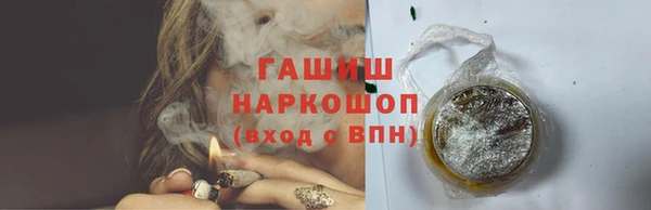 хмурый Аркадак