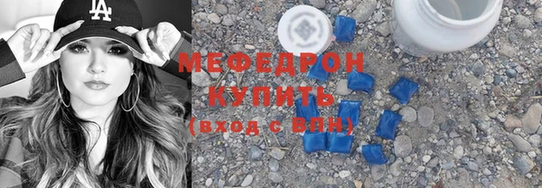 хмурый Аркадак