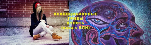 хмурый Аркадак