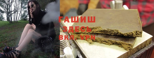 хмурый Аркадак